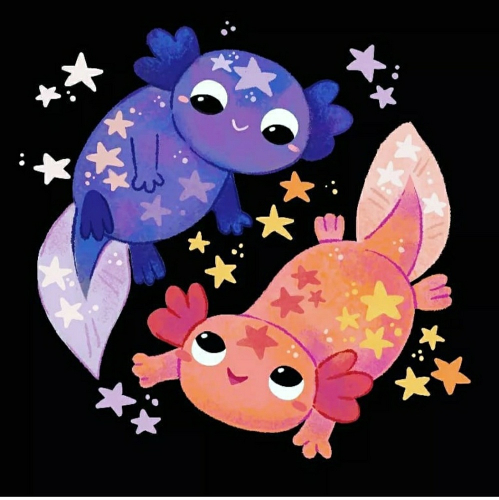 Meet your Posher, Elsa